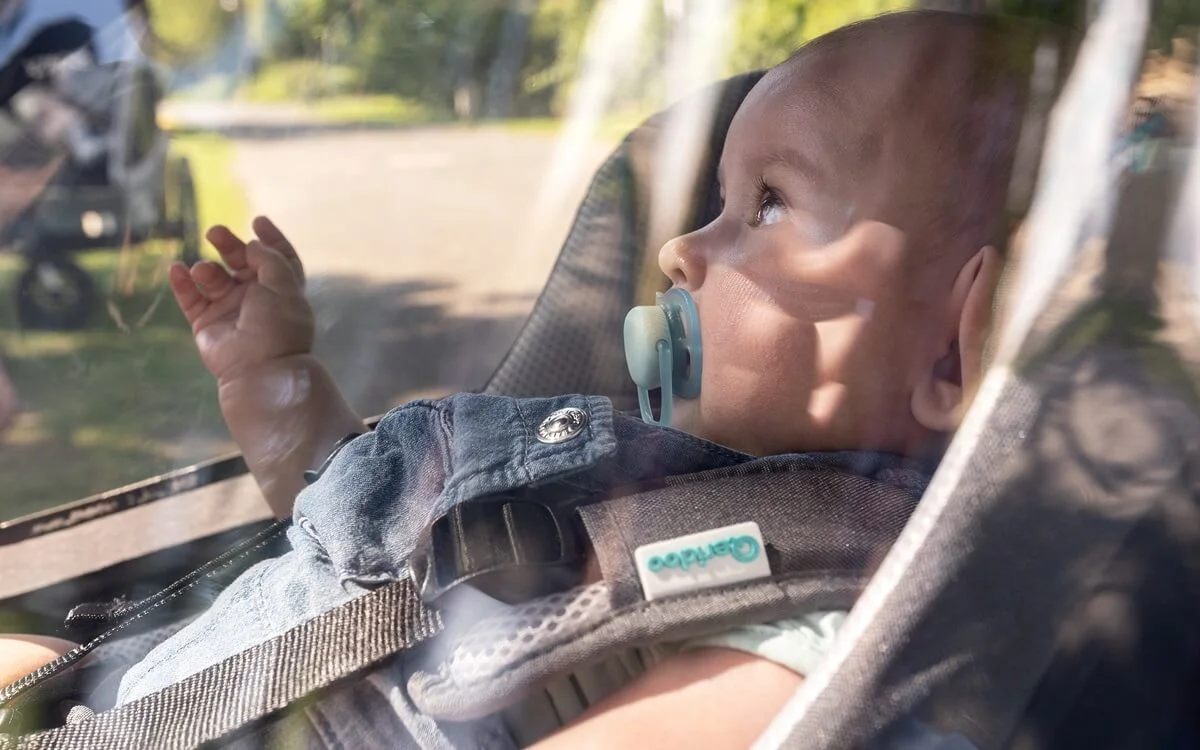 Fenster bei Fahrradanhängern reinigen Fenster bei Fahrradanhängern reinigen