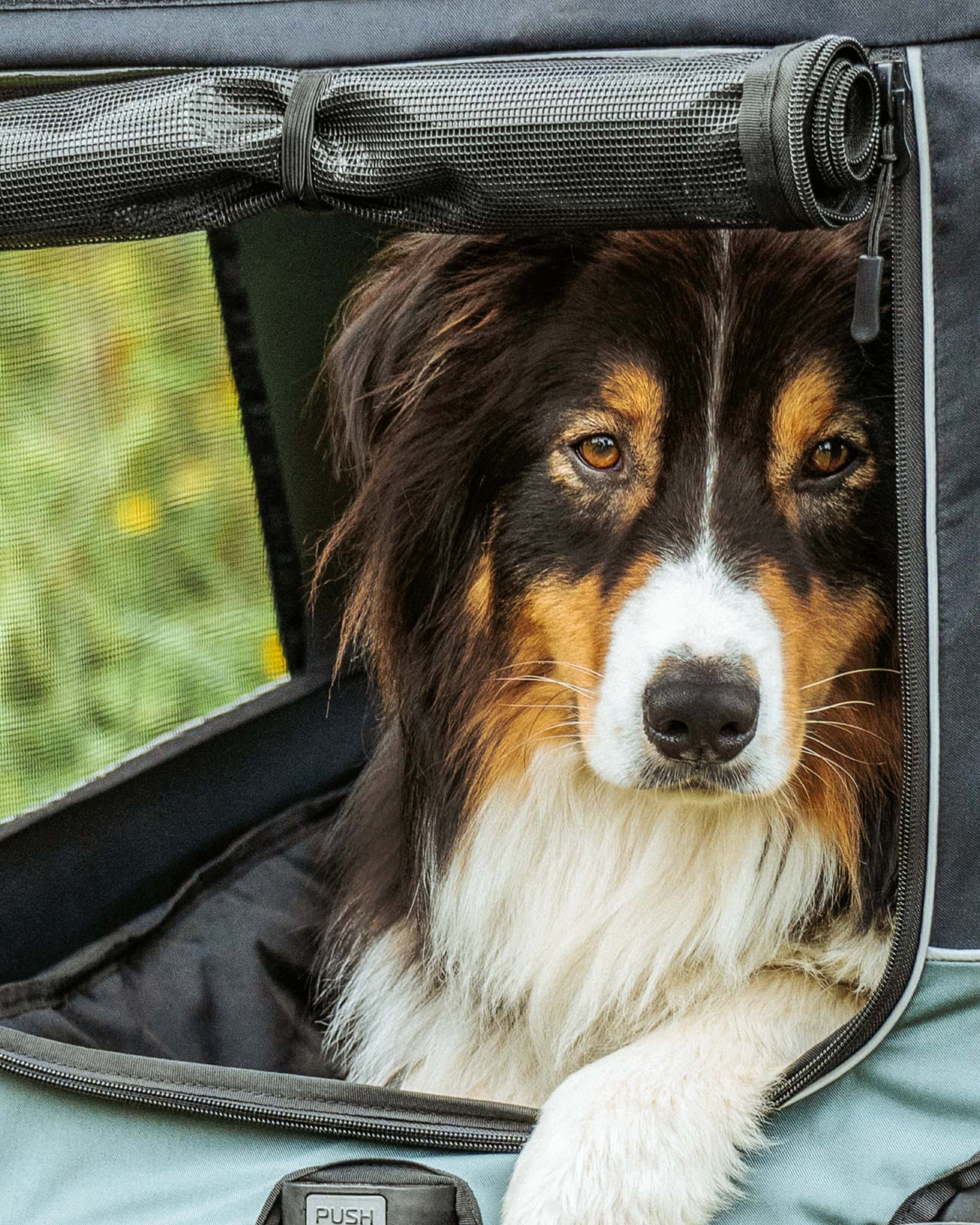 Produktkategorie "Kids"